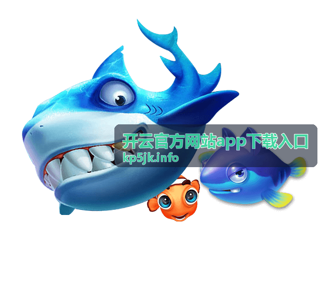 开云官方网站app下载入口的安装环境核对说明