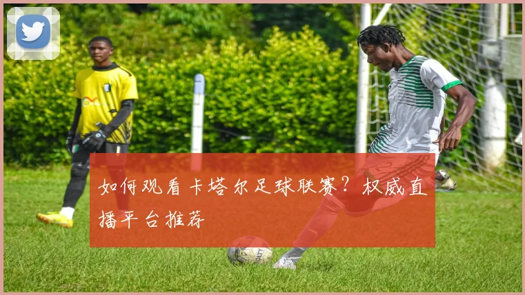 如何观看卡塔尔足球联赛？权威直播平台推荐